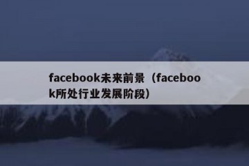 facebook未来前景（facebook所处行业发展阶段）