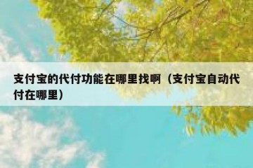 支付宝的代付功能在哪里找啊（支付宝自动代付在哪里）