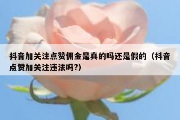 抖音加关注点赞佣金是真的吗还是假的（抖音点赞加关注违法吗?）