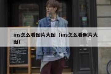 ins怎么看图片大图（ins怎么看照片大图）
