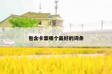 包含卡盟哪个最好的词条