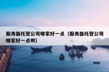 服务器托管公司哪家好一点（服务器托管公司哪家好一点啊）