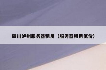 四川泸州服务器租用（服务器租用低价）