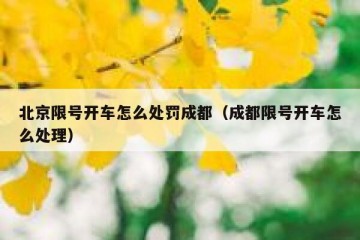 北京限号开车怎么处罚成都（成都限号开车怎么处理）