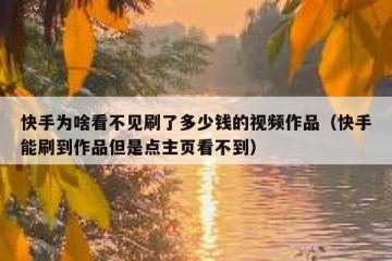 快手为啥看不见刷了多少钱的视频作品（快手能刷到作品但是点主页看不到）
