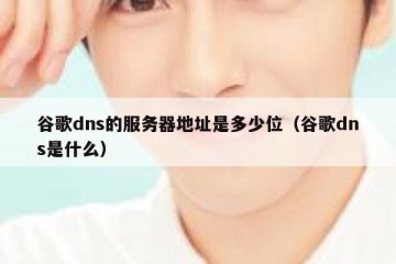 谷歌dns的服务器地址是多少位（谷歌dns是什么）