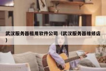 武汉服务器租用软件公司（武汉服务器维修店）