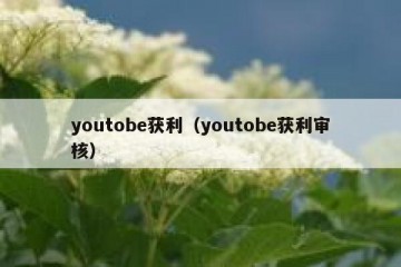 youtobe获利（youtobe获利审核）
