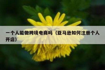 一个人能做跨境电商吗（亚马逊如何注册个人开店）