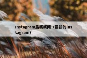 Instagram最新新闻（最新的instagram）