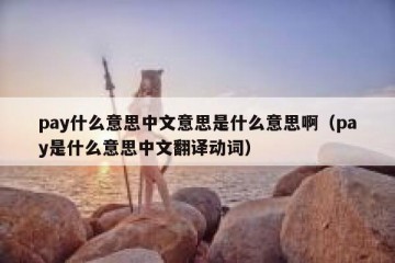 pay什么意思中文意思是什么意思啊（pay是什么意思中文翻译动词）