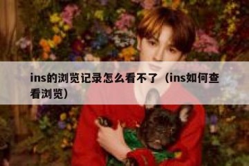ins的浏览记录怎么看不了（ins如何查看浏览）