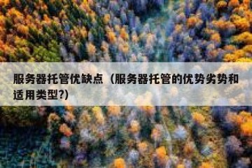 服务器托管优缺点（服务器托管的优势劣势和适用类型?）