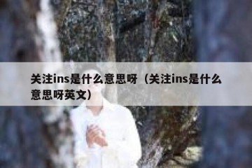 关注ins是什么意思呀（关注ins是什么意思呀英文）