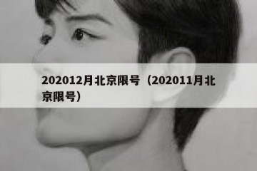 202012月北京限号（202011月北京限号）