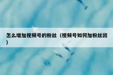 怎么增加视频号的粉丝（视频号如何加粉丝团）