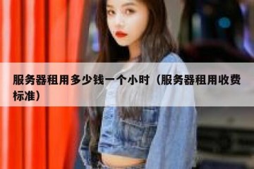 服务器租用多少钱一个小时（服务器租用收费标准）
