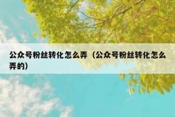 公众号粉丝转化怎么弄（公众号粉丝转化怎么弄的）