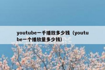 youtube一千播放多少钱（youtube一个播放量多少钱）