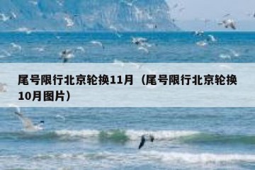 尾号限行北京轮换11月（尾号限行北京轮换10月图片）