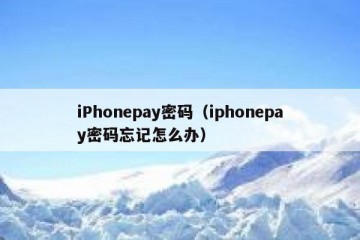 iPhonepay密码（iphonepay密码忘记怎么办）
