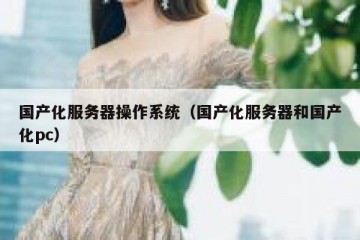 国产化服务器操作系统（国产化服务器和国产化pc）