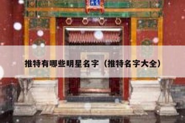 推特有哪些明星名字（推特名字大全）