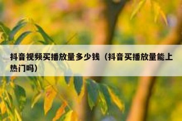 抖音视频买播放量多少钱（抖音买播放量能上热门吗）