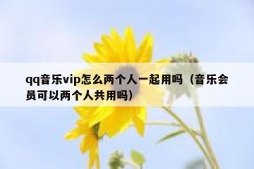 qq音乐vip怎么两个人一起用吗（音乐会员可以两个人共用吗）