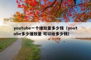 youtube一个播放量多少钱（youtube多少播放量 可以给多少钱）