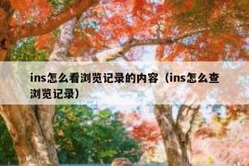 ins怎么看浏览记录的内容（ins怎么查浏览记录）