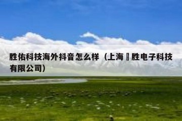 胜佑科技海外抖音怎么样（上海祐胜电子科技有限公司）