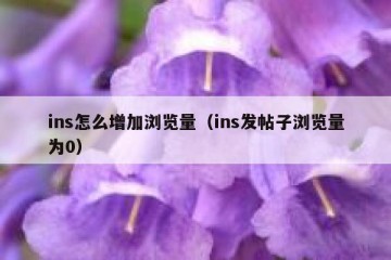 ins怎么增加浏览量（ins发帖子浏览量为0）