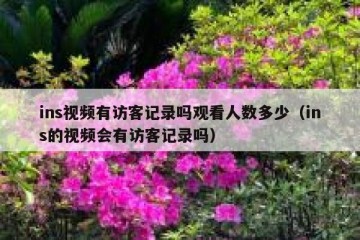 ins视频有访客记录吗观看人数多少（ins的视频会有访客记录吗）