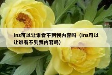 ins可以让谁看不到我内容吗（ins可以让谁看不到我内容吗）