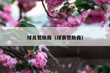球员赞助商（球赛赞助商）