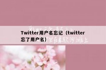 Twitter用户名忘记（twitter忘了用户名）