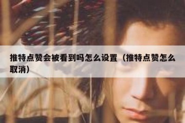 推特点赞会被看到吗怎么设置（推特点赞怎么取消）