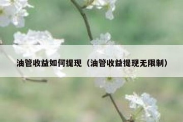 油管收益如何提现（油管收益提现无限制）
