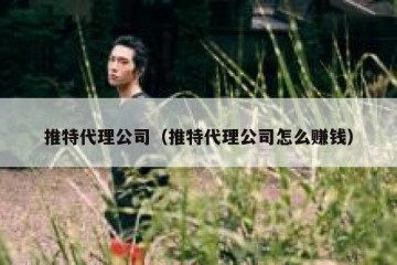 推特代理公司（推特代理公司怎么赚钱）