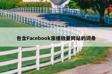 包含Facebook涨播放量网站的词条