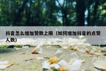 抖音怎么增加赞数上限（如何增加抖音的点赞人数）
