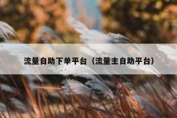 流量自助下单平台（流量主自助平台）