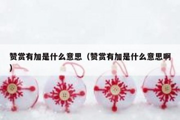 赞赏有加是什么意思（赞赏有加是什么意思啊）