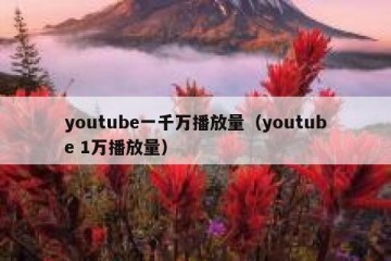 youtube一千万播放量（youtube 1万播放量）