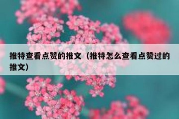 推特查看点赞的推文（推特怎么查看点赞过的推文）