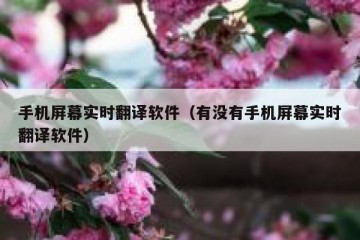 手机屏幕实时翻译软件（有没有手机屏幕实时翻译软件）