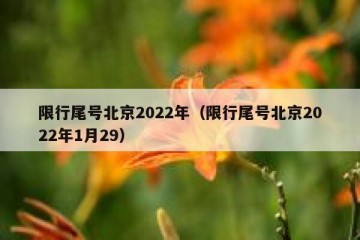 限行尾号北京2022年（限行尾号北京2022年1月29）