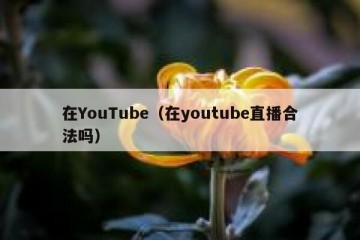 在YouTube（在youtube直播合法吗）