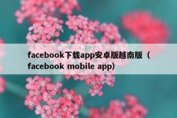 facebook下载app安卓版越南版（facebook mobile app）